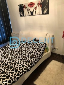 Apartament 2 camere tampa Gardens, Racadau