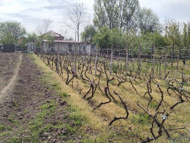 Vand, inchieiez casa gropeni