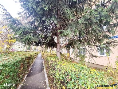 Florilor-Craiter, Brasov