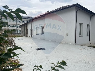 Strada Petru Rares, Harlau, Iasi