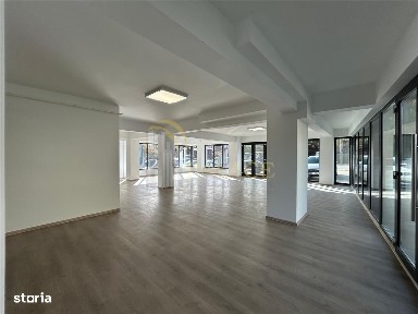 Elena Doamna-Bucsinescu Spatiu Comercial 483mp
