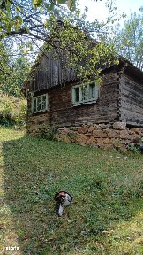 De vânzare casă cu teren Albac 5000m²