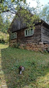 De vânzare casă cu teren Albac 5000m²