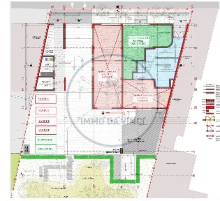 Bulgaria, Cluj-Napoca, Cluj