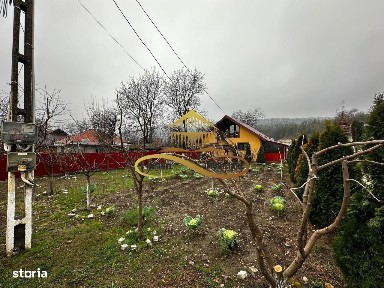 Gheorghe Doja, Racaciuni, Bacau