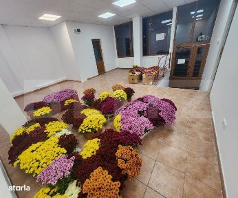 Spatiu comercial de inchiriat, 60 mp, zona-centrala