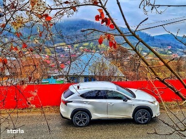 Cucuieti, Solont, Bacau