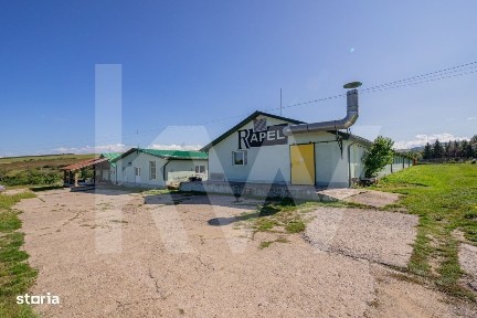 Strada Principala, Sebes, Alba