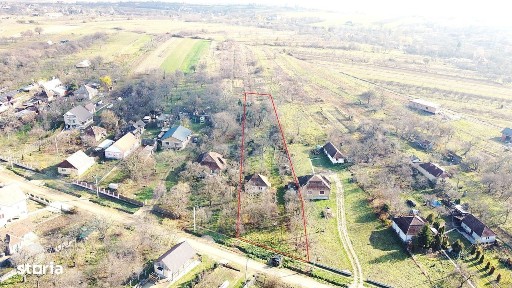 Viile Satu Mare, Satu Mare