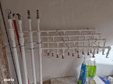 Strada Nojoridului, Salca, Oradea, Bihor