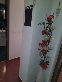 Apartament 1 camera in Ic Frimu, proprietar