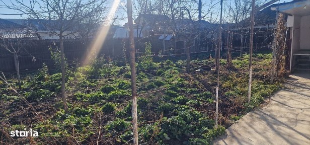 De INCHIRIAT CASA 3 Camere + dependinte