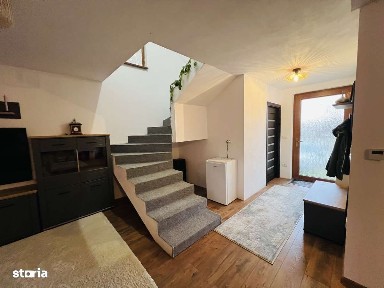 Tisa Noua, Fantanele, Arad