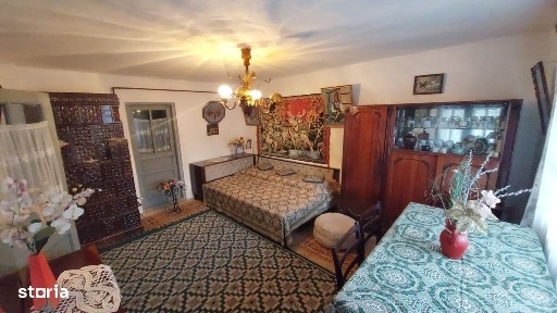 Strada Arcadie Septilici, Magura, Bacau