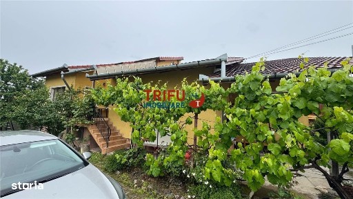 Tolstoi, Alba Iulia, Alba