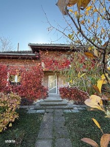 Ciolpani, langa padure