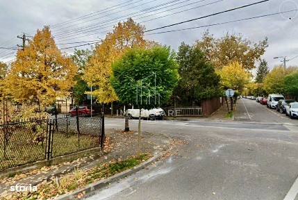 Andrei Muresanu, Cluj-Napoca, Cluj