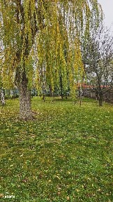 Casă individuală 4 camere, 280 mp, curte 1000 mp, complex -Domnești