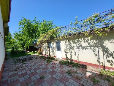 Vand vila P+1,garaj și teren