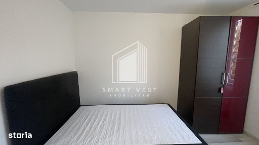 Subcentral, Satu Mare