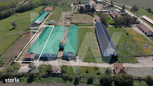 Hala industriala depozitare productie 826mp Sebes