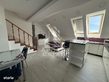 Apartament 4 camere cu etaj, AC, PET FRIENDLY, Torontalului