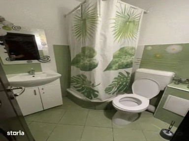 Cetate, Timisoara, Timis