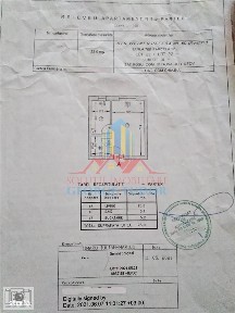 Strada Weiner Palada, Rosu, Chiajna, Ilfov