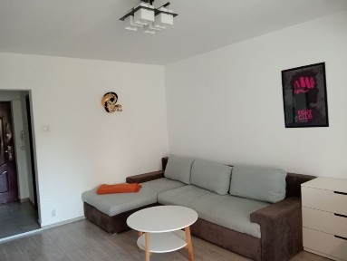 Garsonieră Moderna Gorjului