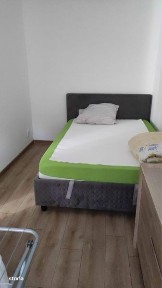 Subcentral, Satu Mare