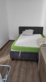 Subcentral, Satu Mare