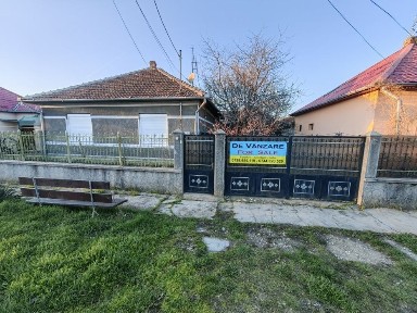 Arad, Ineu