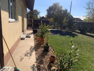 Dragsina, Cheveresu Mare, Timis