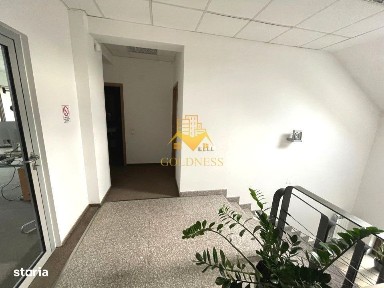 Andrei Muresanu, Cluj-Napoca, Cluj