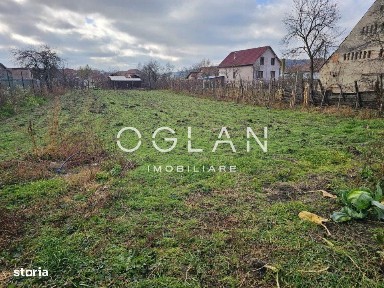 Seica Mare, Sibiu