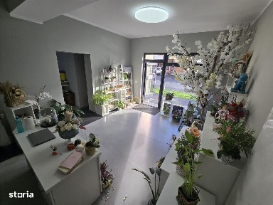 Burdea / Closca, Satu Mare