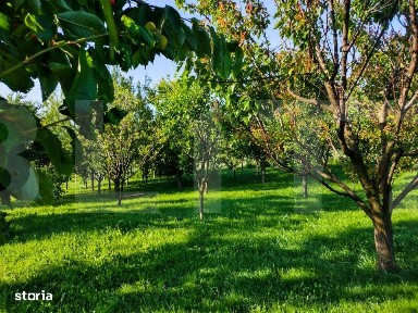 Casa individuala in apropiere de Cluj-Napoca si un teren generos de 23