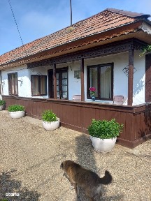 Casa baraneasca + 9300mp teren (livada) zona sat Ziduri jud. Buzau