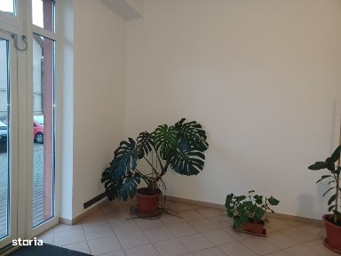 Strada Reconstructiei, Tractorul, Brasov