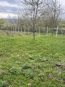 Casă și teren Ocna Mureș, 2 parcele