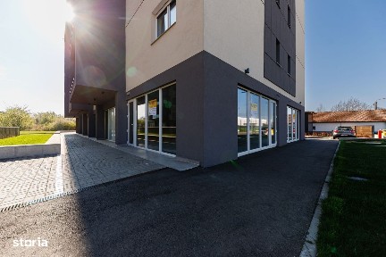 Strada Marginii, Timisoara, Timis