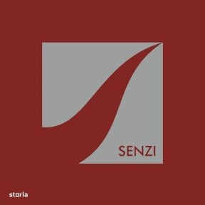 Imobil Centru Istoric, ideal business sau locuit, 326000Euro