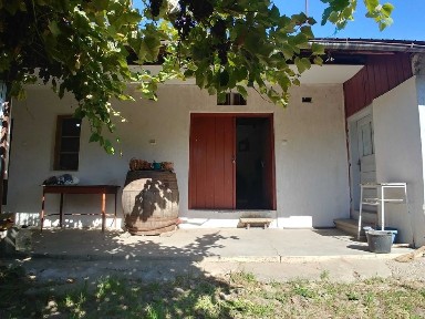 Casa de vanzare la tara, comuna Obrejita/Vrancea