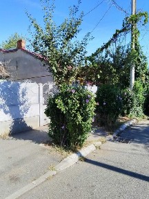 Proprietar vând teren 474 m² cu casă demolabilă Lacul Morii Giulești