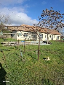 Tariverde, Cogealac, Constanta