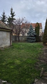 Subcentral, Satu Mare