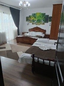 Pensiune de vanzare, afacere, casa cu piscina, SPA, la 20 km de Baia M