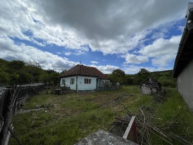 Casa la tara + teren 14arii