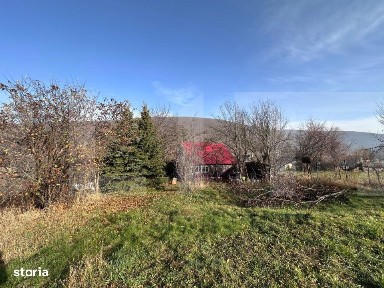 Casa de vacanta in Lisnau - Comuna Ozun