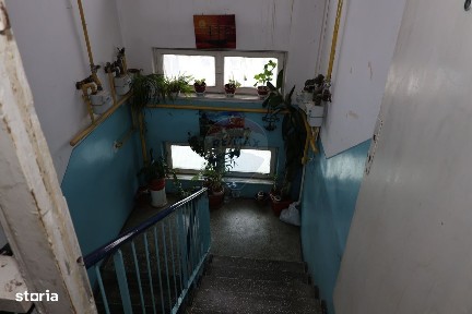 Aleea Magnoliei, Florilor-Craiter, Brasov